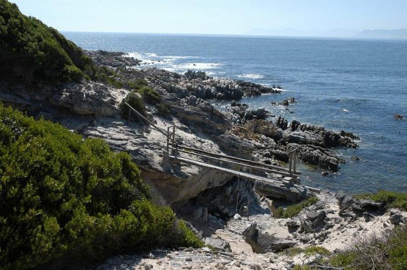 Crayfish Lodge Sea & Country Guest House Gansbaai Exteriér fotografie