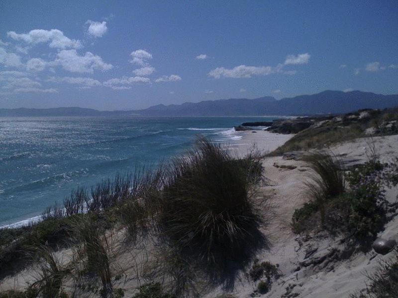 Crayfish Lodge Sea & Country Guest House Gansbaai Exteriér fotografie